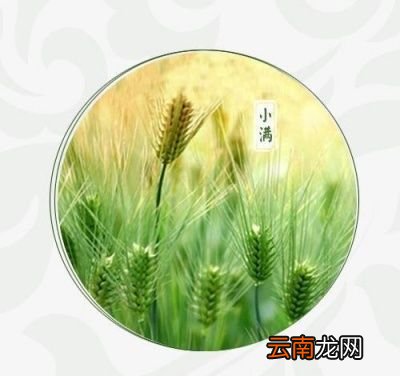 为什么叫“小满”