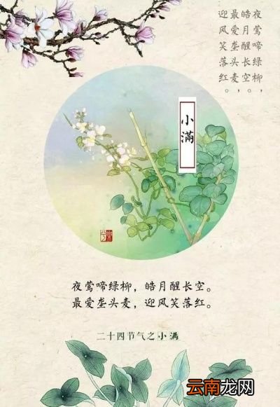 为什么称做小满