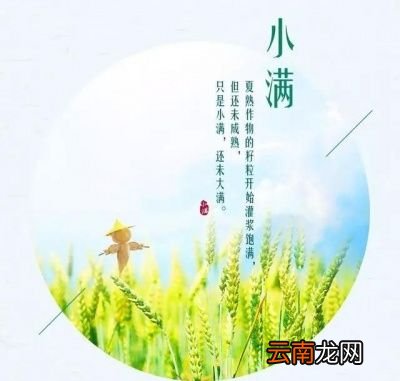 为什么称做小满