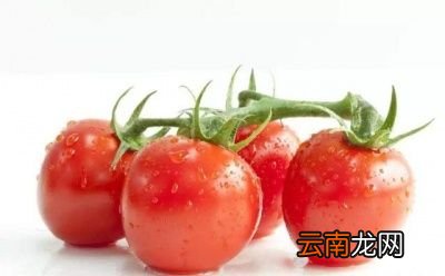 怎样做西红柿炖牛腩