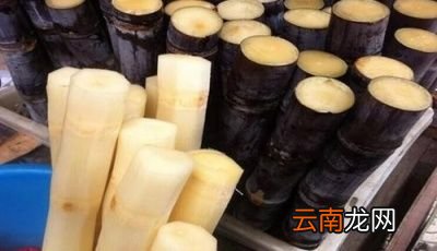 怎么挑选好的甘蔗