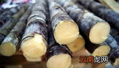 怎么挑选好的甘蔗