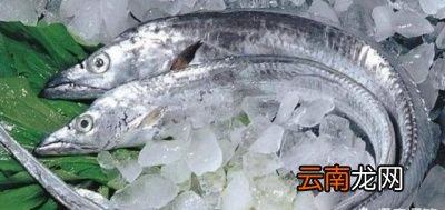 出现这种“骨头”的带鱼是养殖的吗