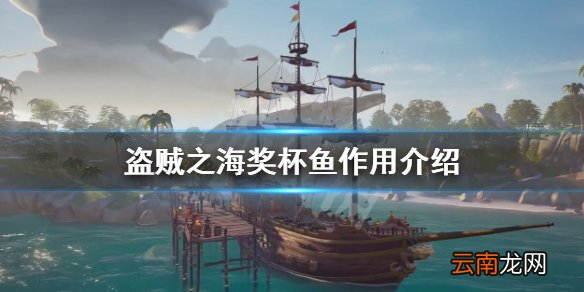 盗贼之海奖杯鱼有什么用 盗贼之海奖杯鱼作用介绍