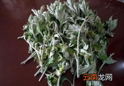 艾草到底怎样识别
