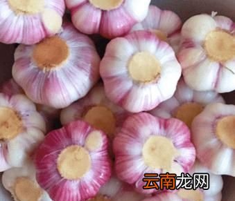 请问怎么腌制糖蒜