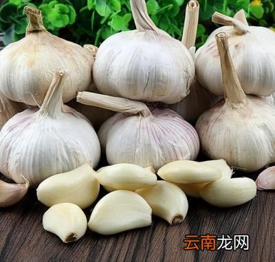 腌蒜之前要先买蒜先交大家挑选大蒜头的方法