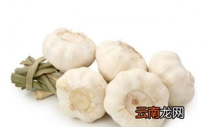 腌蒜之前要先买蒜先交大家挑选大蒜头的方法