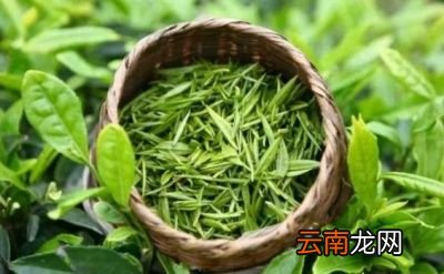 脸上大颗红肿的痘痘是螨虫痘吗