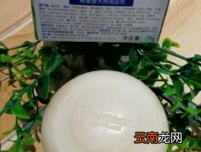 螨虫是什么对人体有什么危害吗