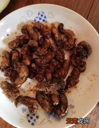 知了猴是变出来的好吃还是没变的好吃