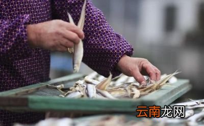 白条鱼是否值得养殖