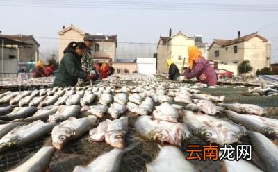 白条鱼有没有养殖价值为什么