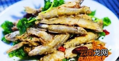 养殖白条鱼需要什么条件