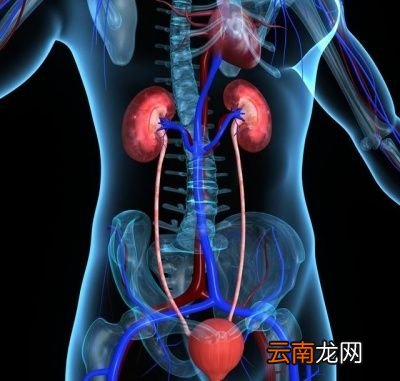 为什么喝盐水比喝开水少尿