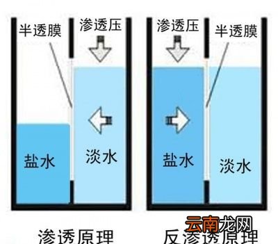 为什么喝盐水比喝开水少尿