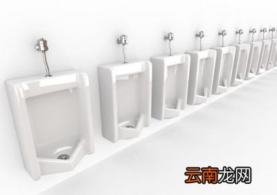 导致多尿和少尿的原因