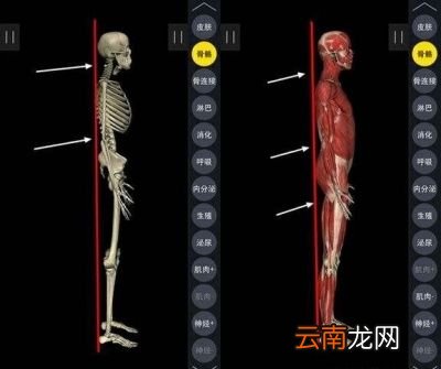 靠墙站立能带来哪些好处