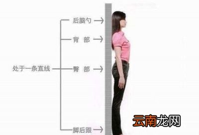 靠墙站立能带来哪些好处