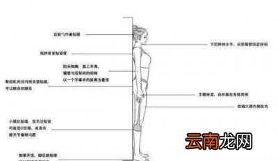 靠墙站立能带来哪些好处