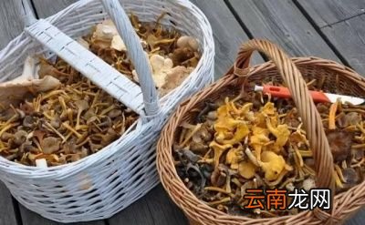 教大家如何正确处理隔夜菜~