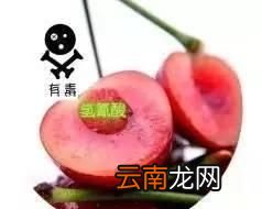 还能放心吃樱桃吗