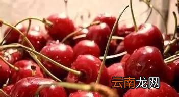 还能放心吃樱桃吗