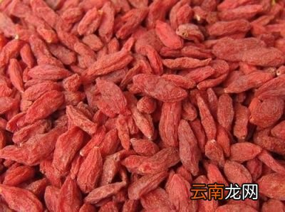 跑步对肾脏有什么好处