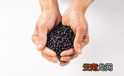 醋泡黑豆的做法