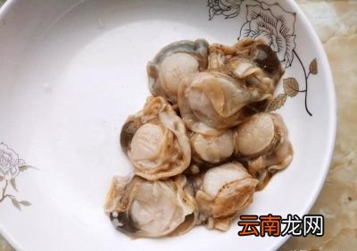 干贝有什么营养功效