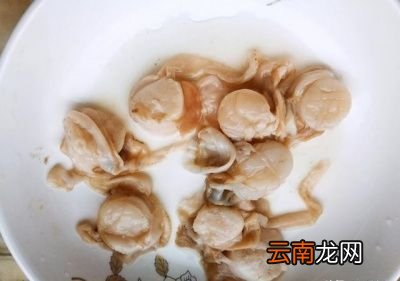 干贝有什么营养功效