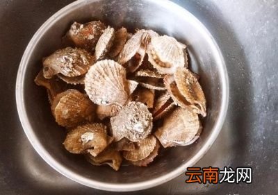 干贝有什么营养功效