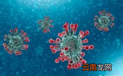 像新冠这样的病毒在冷鲜肉产品中能存活多久
