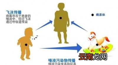 买菜肉应注意什么