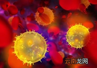 新冠能否在肉菜上存活呢