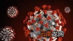 买菜肉时要注意什么