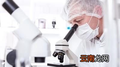 买菜肉时注意什么