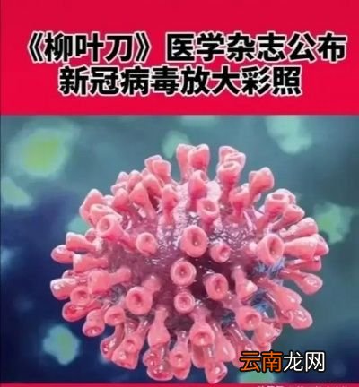 买菜肉时注意什么