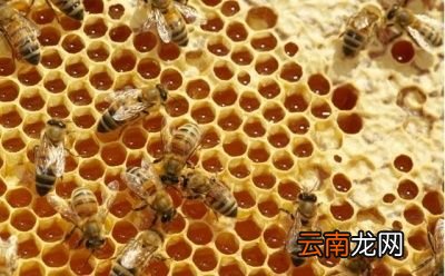 食用蜂蜜会增加雄性激素吗为什么