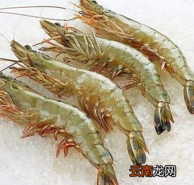 再比较鸡爪与虾具体的好处