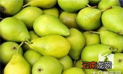 鸡爪梨泡药酒鸡爪梨泡酒的功效