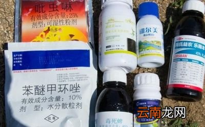 什么时间喷施农药合适