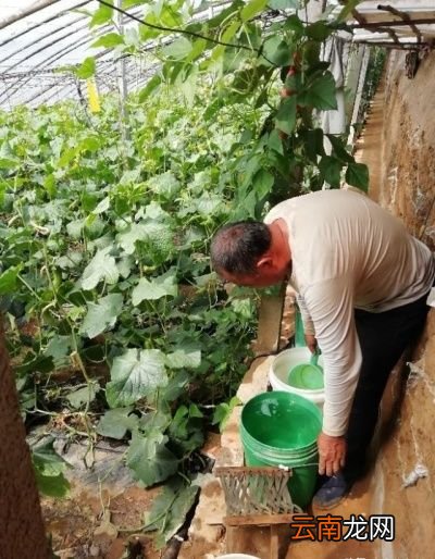 一天中什么时间打农药好
