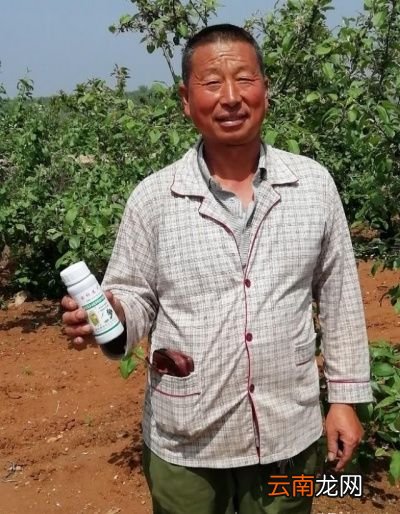 一天中什么时间打农药好