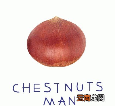 栗子和什么一起吃好