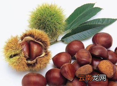 栗子和什么一起吃好