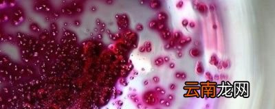 葡萄酒为什么会有酸味