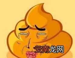 判断脑门长痘痘是不是体内湿气重的大致标准
