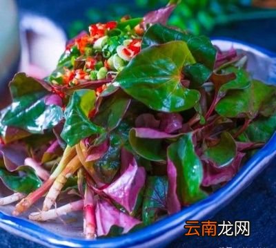 为什么鱼腥草做的难吃