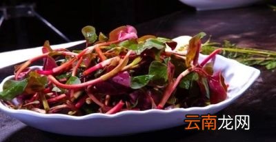 为什么鱼腥草做的难吃